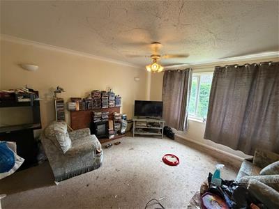 Picture 2